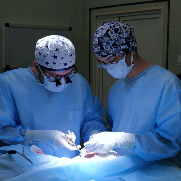 Orthopaedics Traumatology img